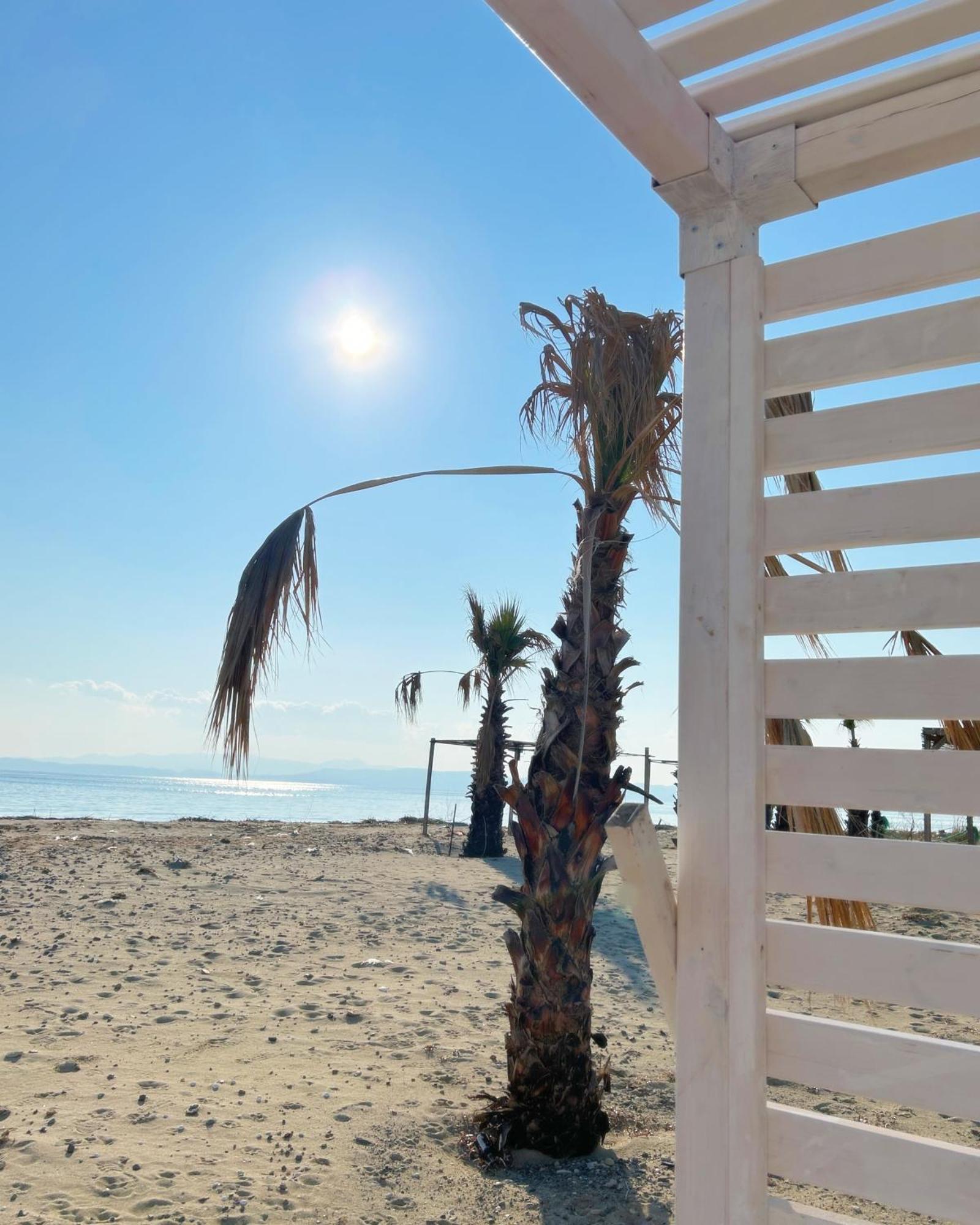 Soho Ayvalik Beach House Otel Küçükköy Dış mekan fotoğraf